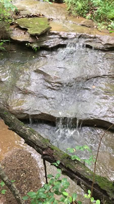 video clip of the uppermost waterfall, which has an angled drop of about 5 feet or so in height at Riffle Falls in Cottageville, WV