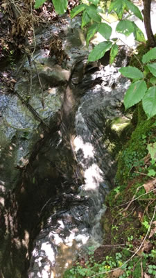 video clip of multicolored reflections on a rock in the gorge at Riffle Falls in Cottageville, WV