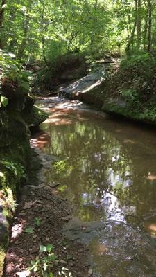 video clip of the uppermost waterfall and then looking downstream toward the 5 or 6 foot drop in the bedrock at Riffle Falls in Cottageville, WV