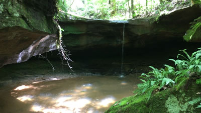 video clip of Riffle Falls - sunlight reflections on the rock in Cottageville, WV