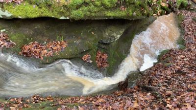 video clip of the middle waterfall showing swift water going through the narrow rock gorge at Riffle Falls in Cottageville, WV