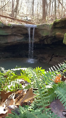 video clip #1 of the sunlight reflections on Feb. 05, 2024 at Riffle Falls.