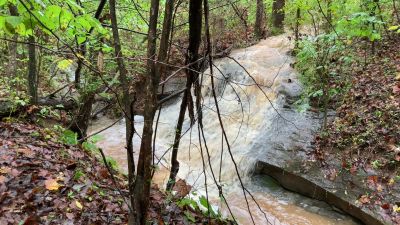 video clip of the two cascade falls at Riffle Falls in Cottageville, WV