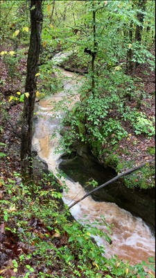 video clip of the two cascade falls at Riffle Falls in Cottageville, WV